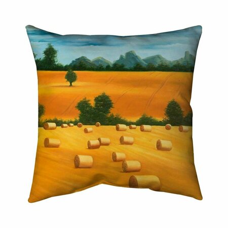BEGIN HOME DECOR 20 x 20 in. Hay Bale Fields-Double Sided Print Indoor Pillow 5541-2020-LA104